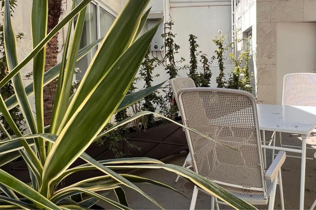 Condesa Residence Amsterdam D Sunny 2Bed 1Bath Apt In Condesa Mexico Extérieur photo
