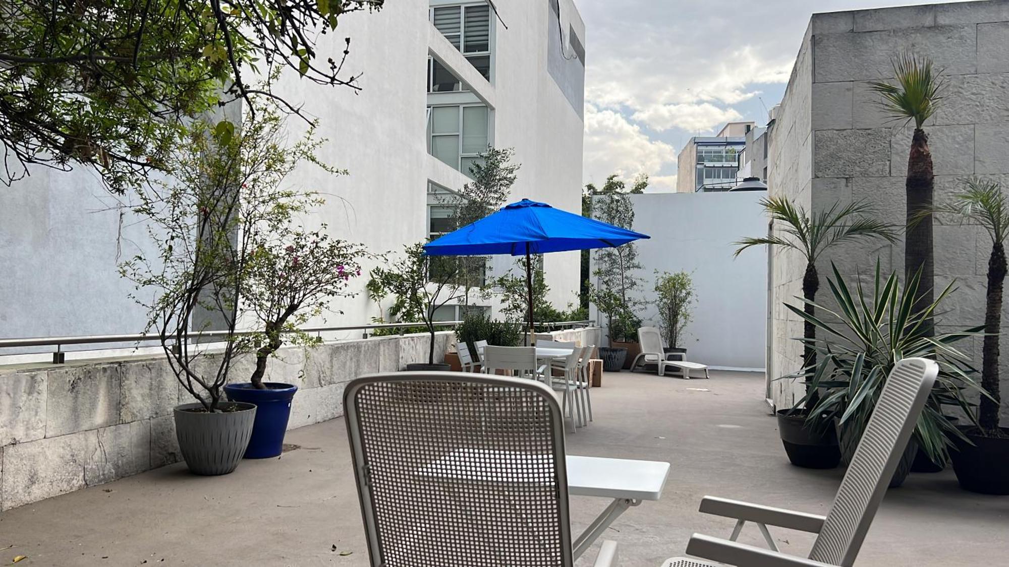 Condesa Residence Amsterdam D Sunny 2Bed 1Bath Apt In Condesa Mexico Extérieur photo
