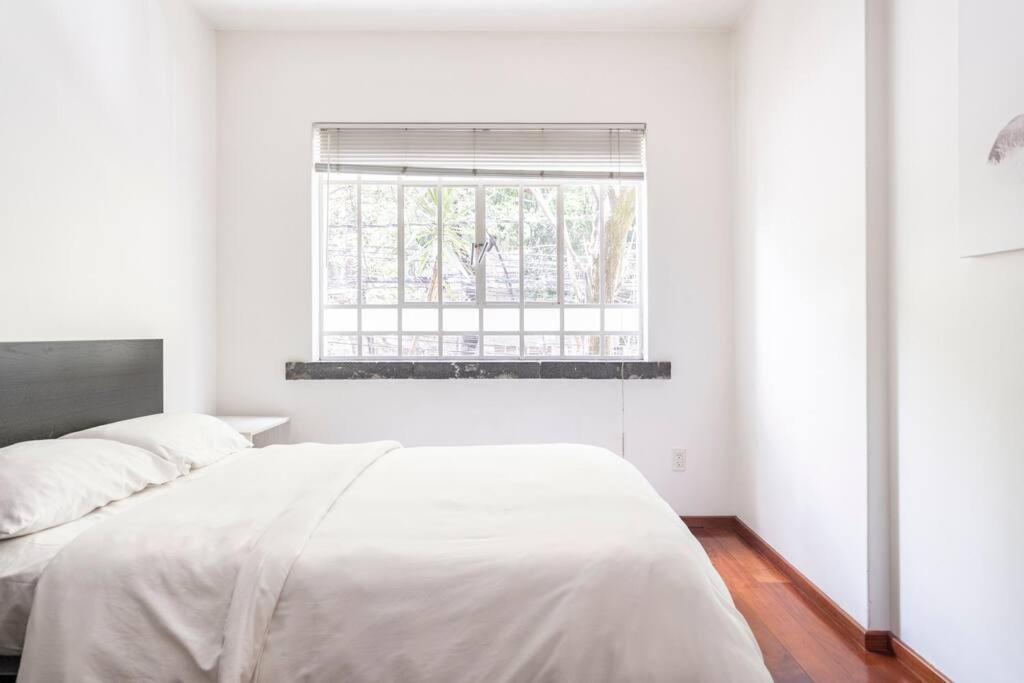 Condesa Residence Amsterdam D Sunny 2Bed 1Bath Apt In Condesa Mexico Extérieur photo